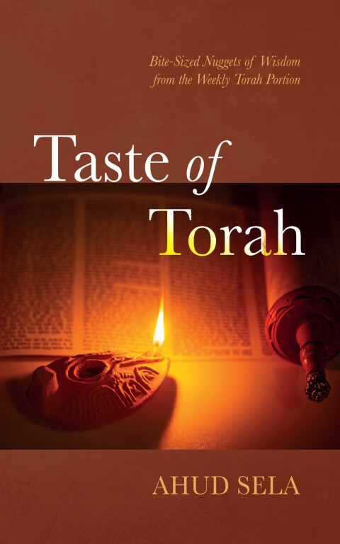 Cover image for book Taste of Torah