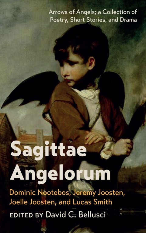 Cover image for book Sagittae Angelorum
