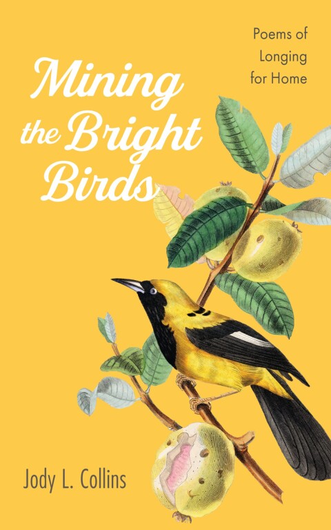 Cover image for book Mining the Bright Birds