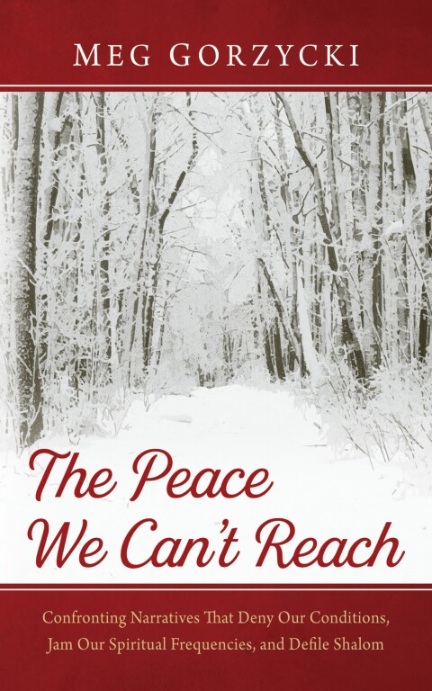 Cover image for book The Peace We Can’t Reach