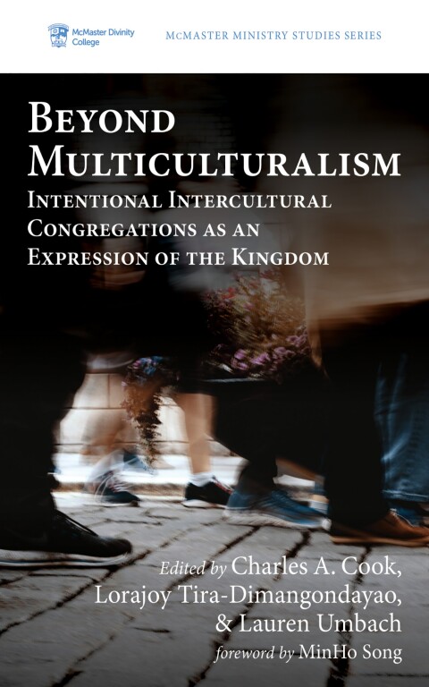 Cover image for book Beyond Multiculturalism