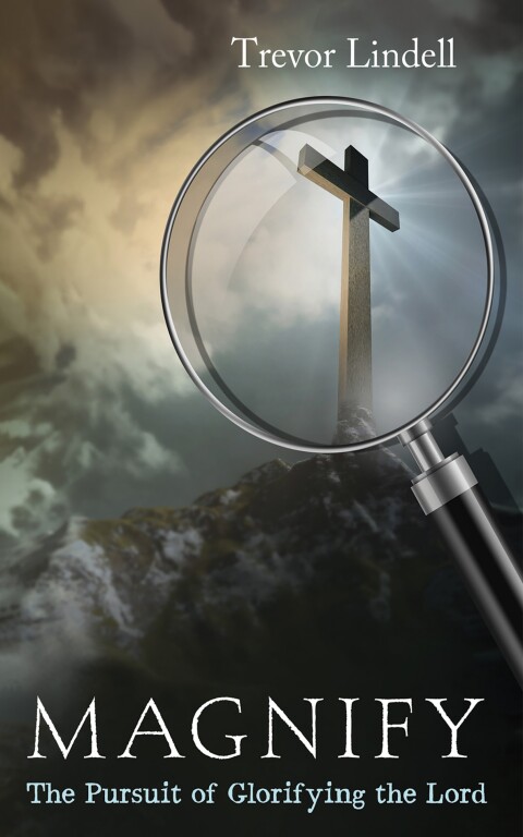 Cover image for book Magnify