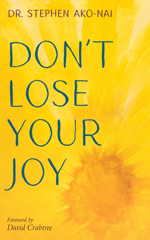 Cover image for book Don’t Lose Your Joy
