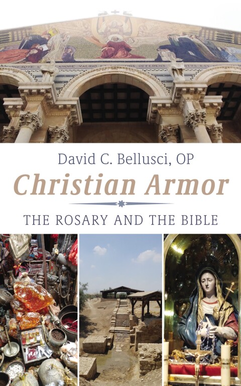 Cover image for book Christian Armor