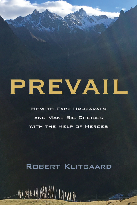 Cover image for book Prevail