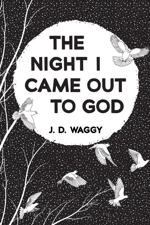 Cover image for book The Night I Came Out to God
