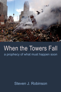 Cover image: When the Towers Fall 9781666735772