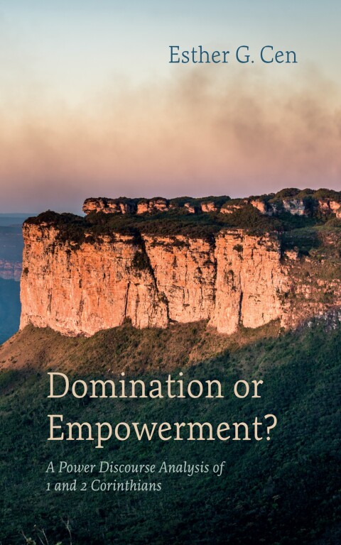 Cover image for book Domination or Empowerment?