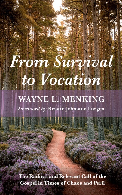 Cover image for book From Survival to Vocation