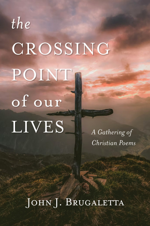 Cover image for book The Crossing Point of Our Lives