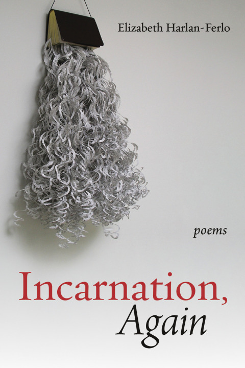 Cover image for book Incarnation, Again