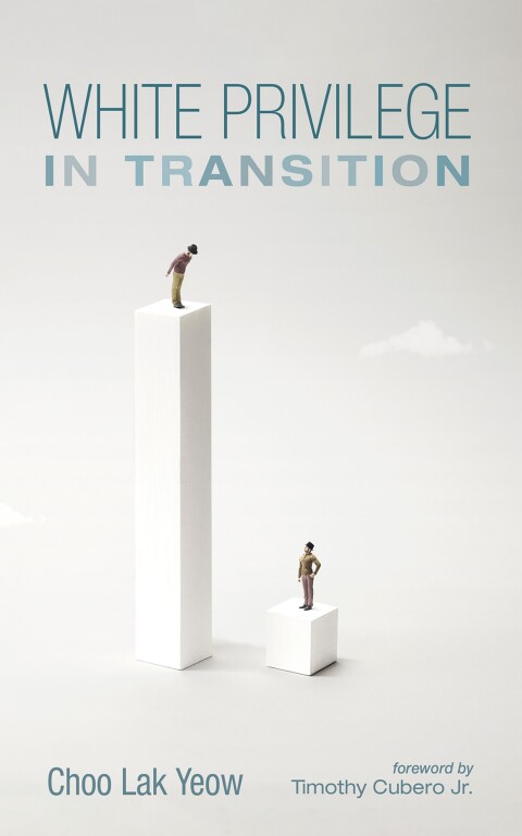 Cover image for book White Privilege in Transition