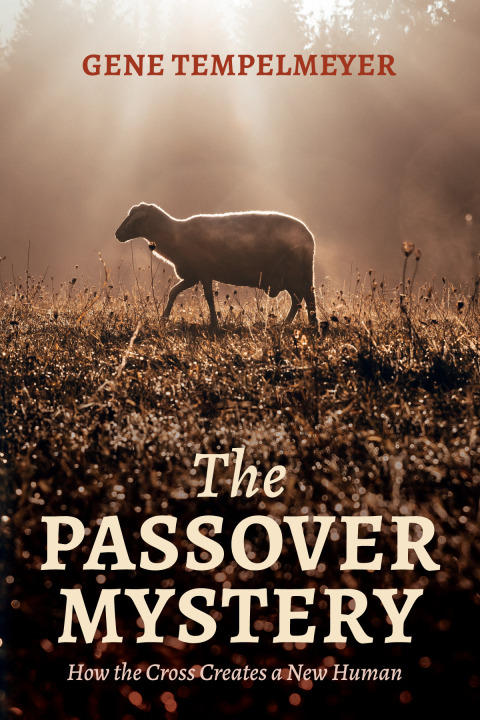 Cover image for book The Passover Mystery