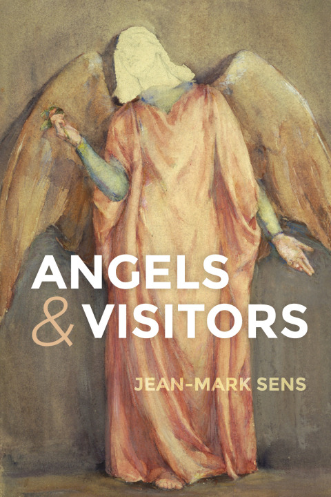 Cover image for book Angels and Visitors