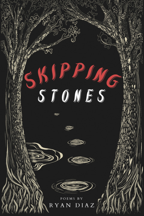 Cover image for book Skipping Stones