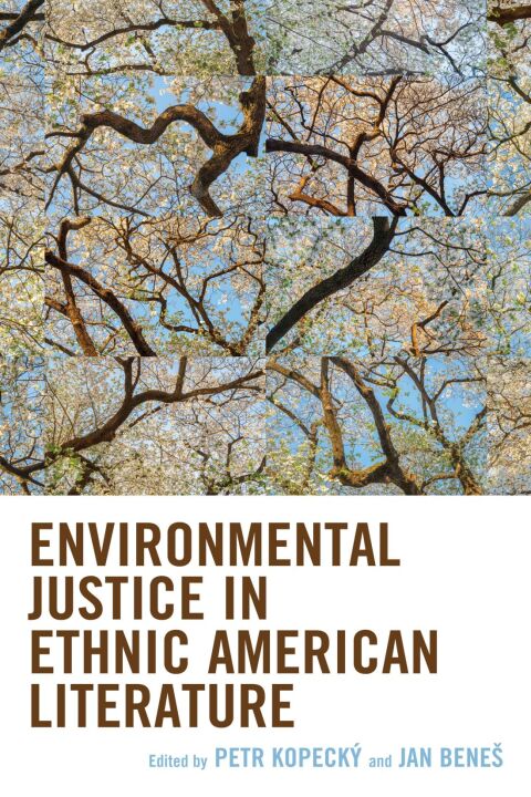 Cover image for book Environmental Justice in Ethnic American Literature