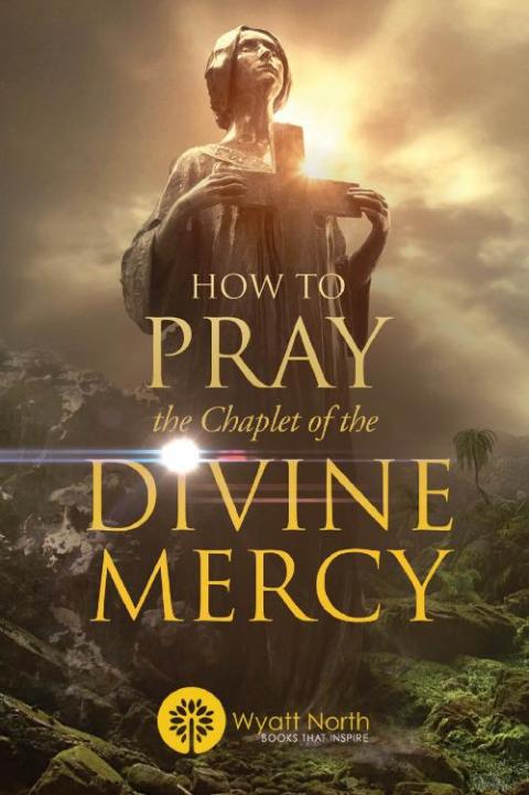 Cover image for book How to Pray the Chaplet of the Divine Mercy