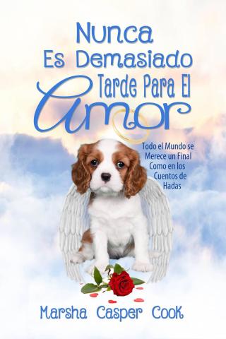 Nunca Es Demasiado Tarde Para El Amor