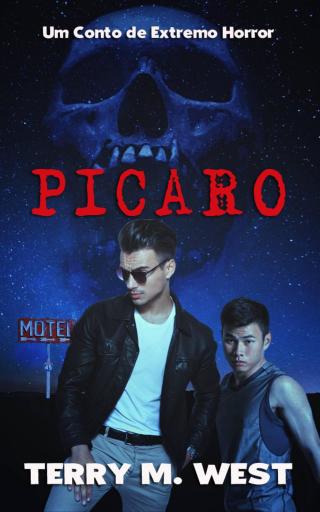 Pícaro