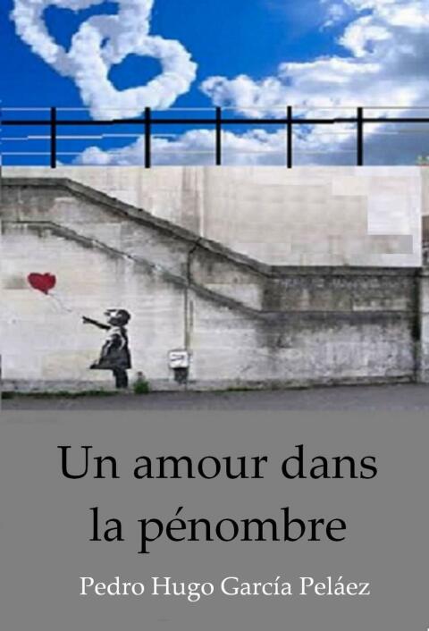 Cover image for book Un amour dans la pénombre