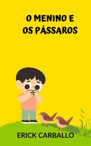 O menino e os pássaros