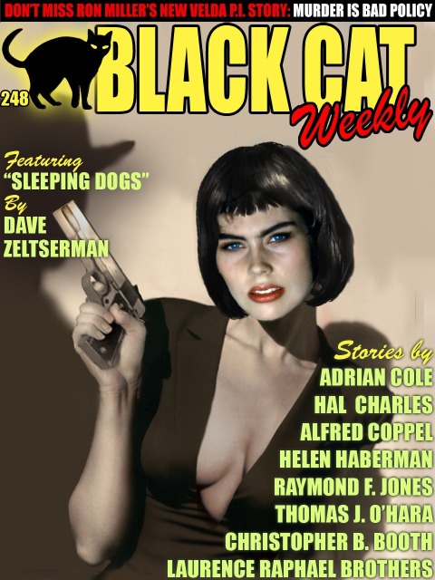 Cover image for book Black Cat Weekly #248
