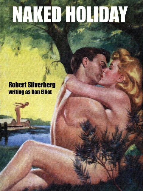 Cover image for book Naked Holiday