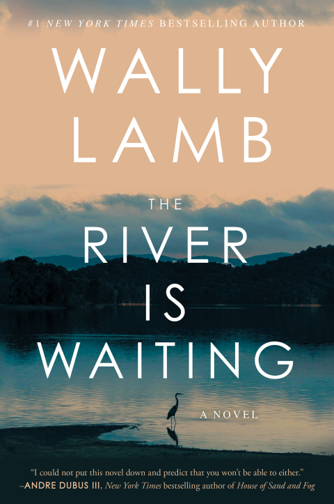 Cover image for book The River Is Waiting (Oprah's Book Club)