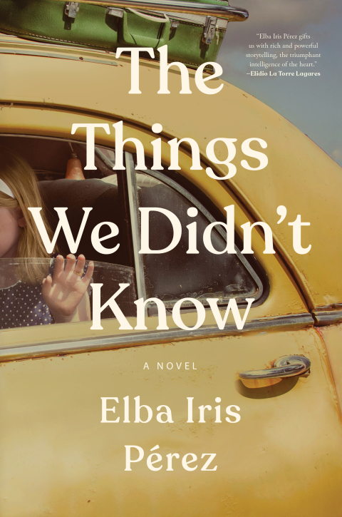 Cover image for book The Things We Didn't Know