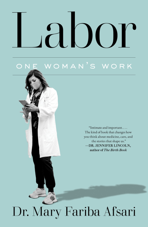 Cover image for book Labor