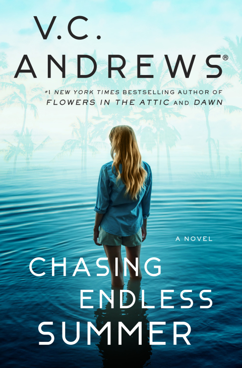 Cover image for book Chasing Endless Summer