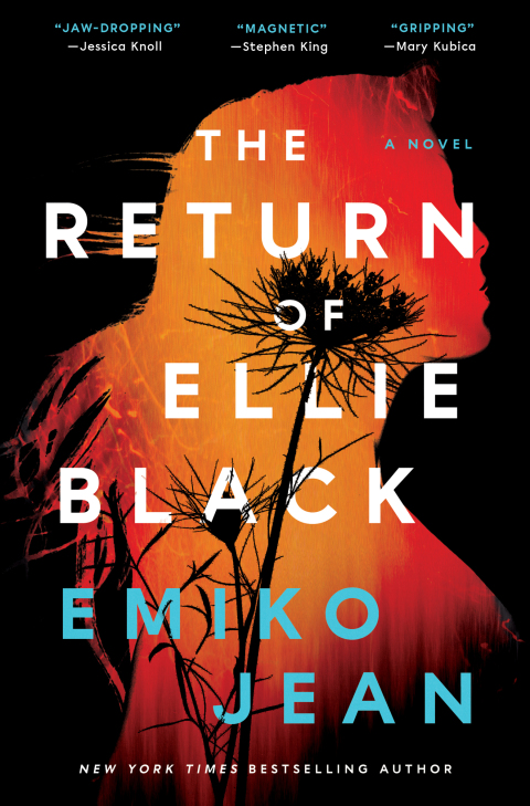 Cover image for book The Return of Ellie Black