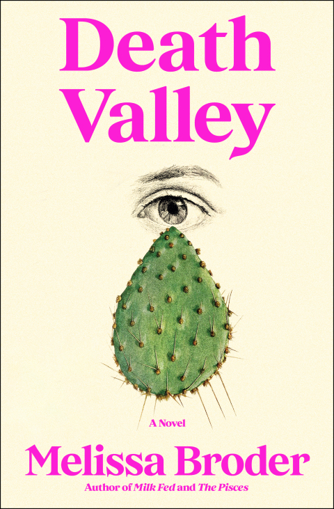 Cover image for book Death Valley