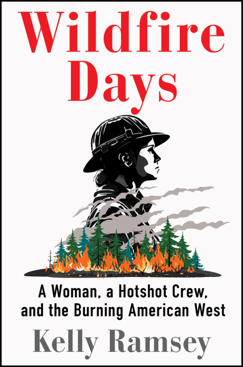 Cover image for book Wildfire Days