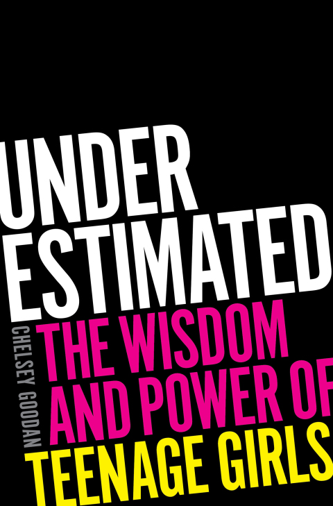 Cover image for book Underestimated