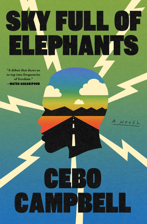 Cover image for book Sky Full of Elephants
