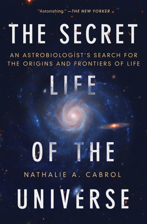 Cover image for book The Secret Life of the Universe