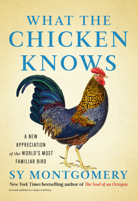 Cover image for book What the Chicken Knows