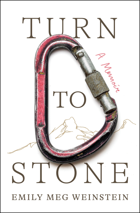 Cover image for book Turn to Stone