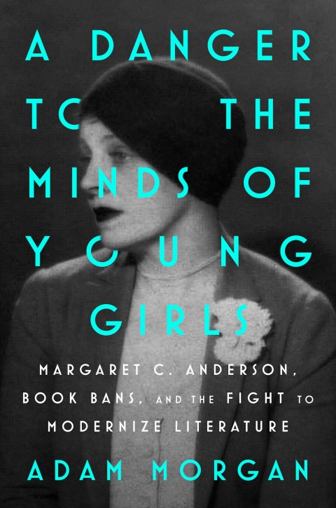 Cover image for book A Danger to the Minds of Young Girls