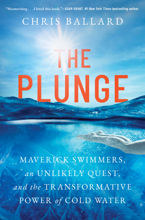Cover image for book The Plunge
