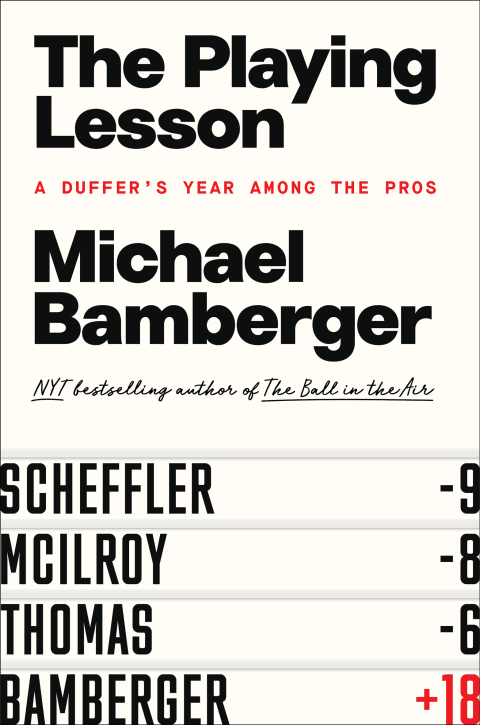 Cover image for book The Playing Lesson