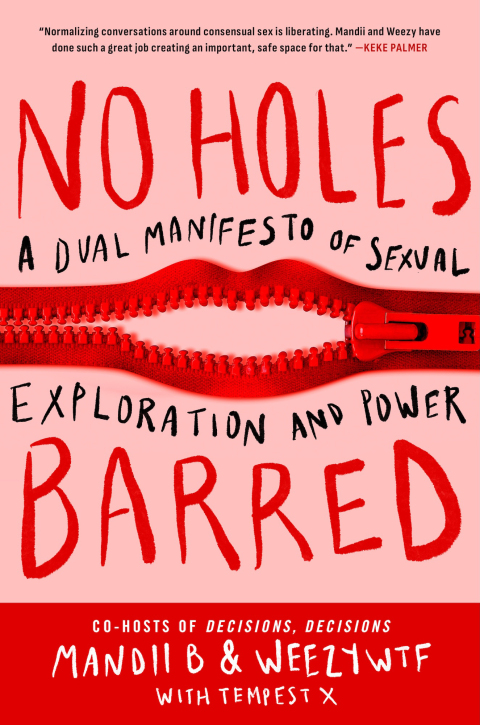 Cover image for book No Holes Barred