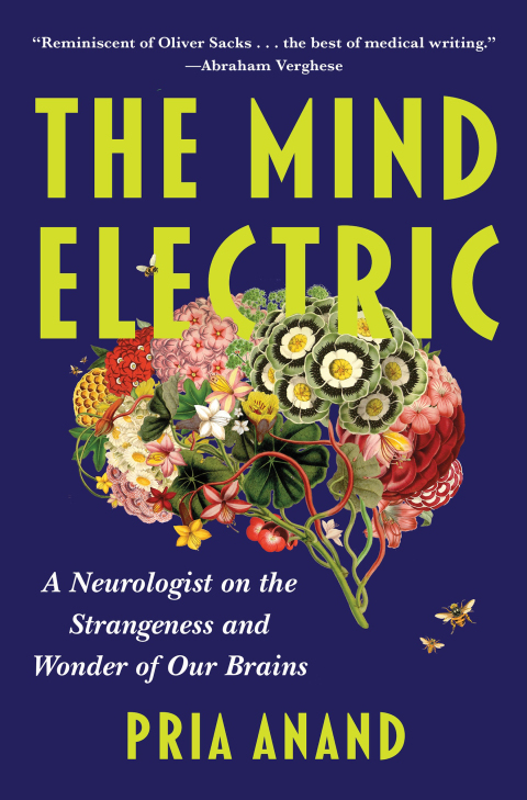 Cover image for book The Mind Electric
