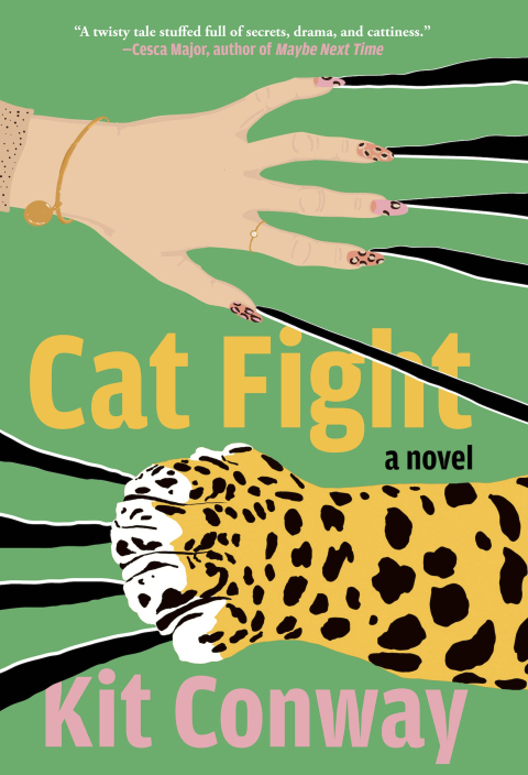 Cover image for book Cat Fight