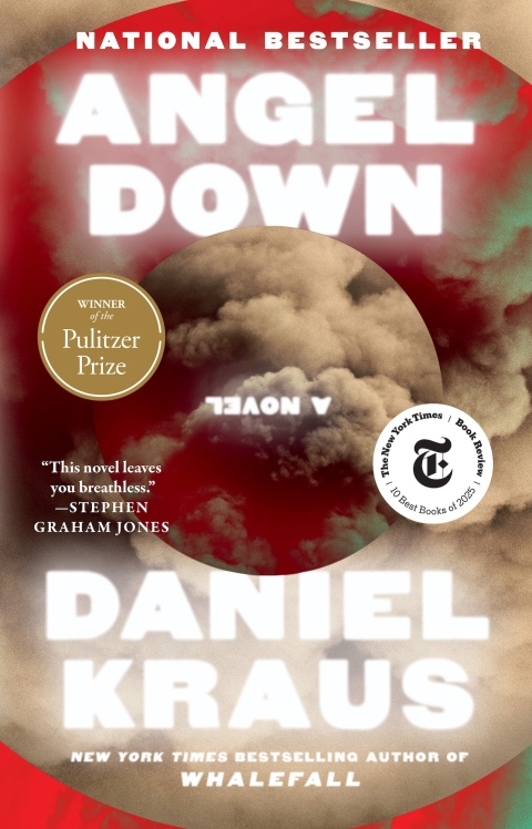 Cover image for book Angel Down (Pulitzer Prize Winner)