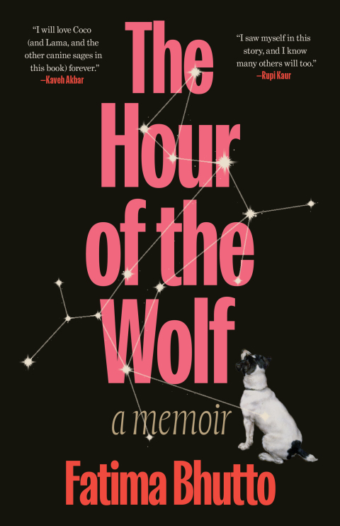 Cover image for book The Hour of the Wolf