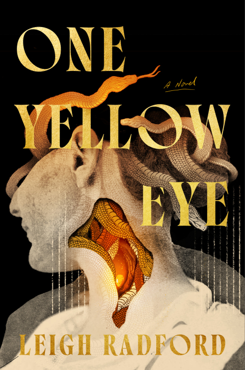 Cover image for book One Yellow Eye