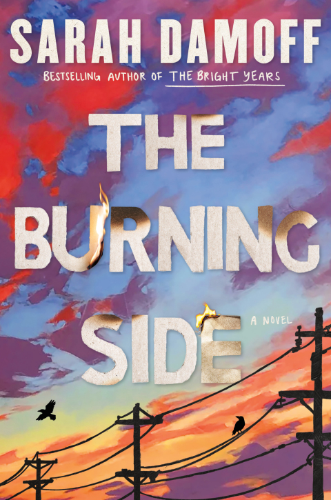 Cover image for book The Burning Side