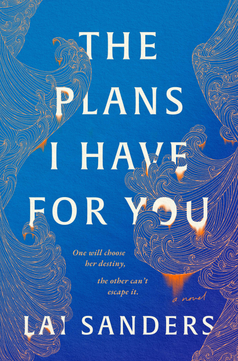 Cover image for book The Plans I Have for You